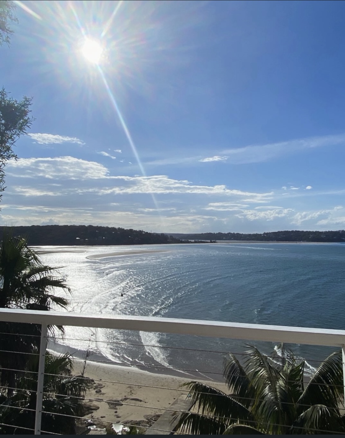 Elevated balcony view over the bay with sun flare, cable railing and palms